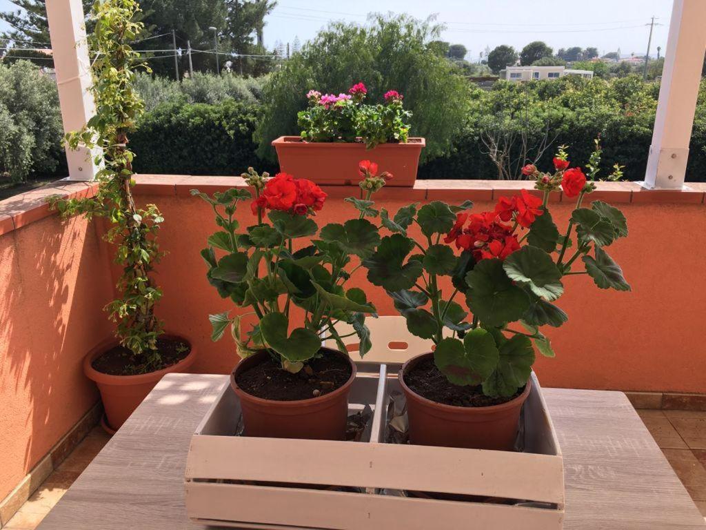 La Stanza Delle Muse In Villa Con Piscina Fontane Bianche Kültér fotó